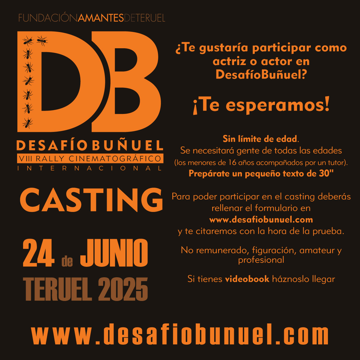 Rally Desafío Buñuel.